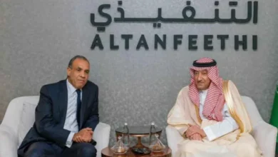 وزير الخارجية المصري يصل الرياض