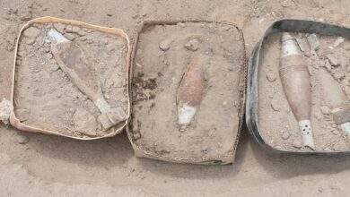 الغام ارشفية