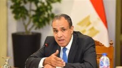 وزير الخارجية المصري