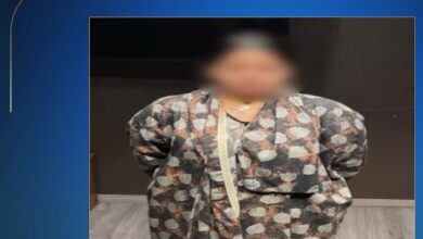 السيدة صاحبة واقعة ضرب الطفلين