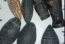 بلح فرعوني أرشيفية