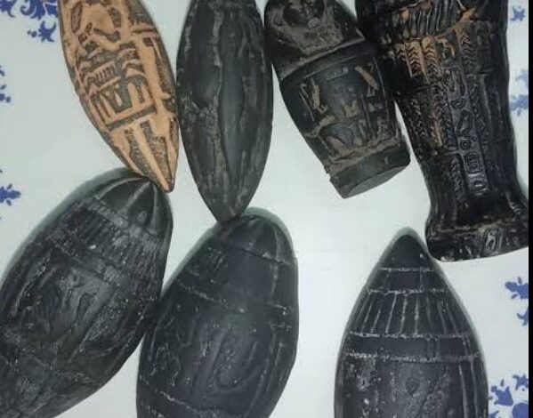 بلح فرعوني أرشيفية