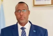 السفير الصومالي علي عبدي