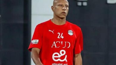 عمرو الجزار