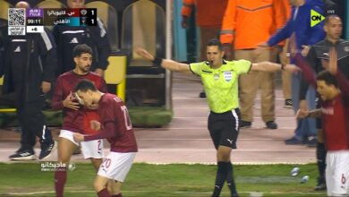 الحكم محمود وفا