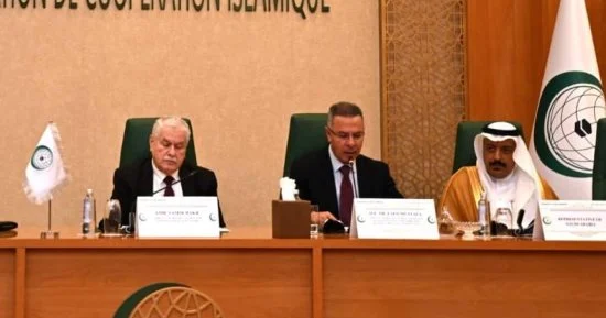 جامعة الدول العربية